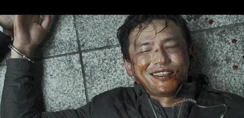 电影明星菅,星光璀璨的银幕传奇